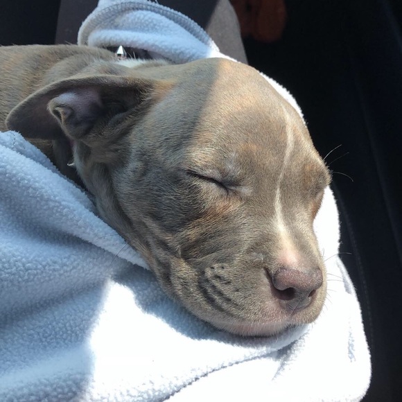 Meet your Posher, Angie - Picture 1 of 1